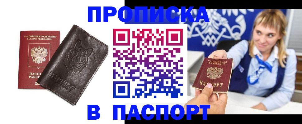 где прописаться в Коле